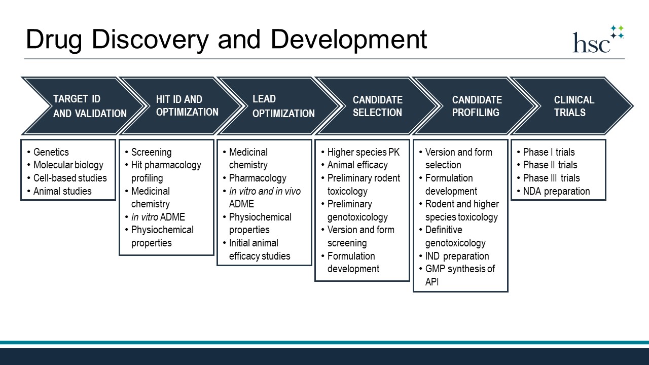Drug Development Process Overview