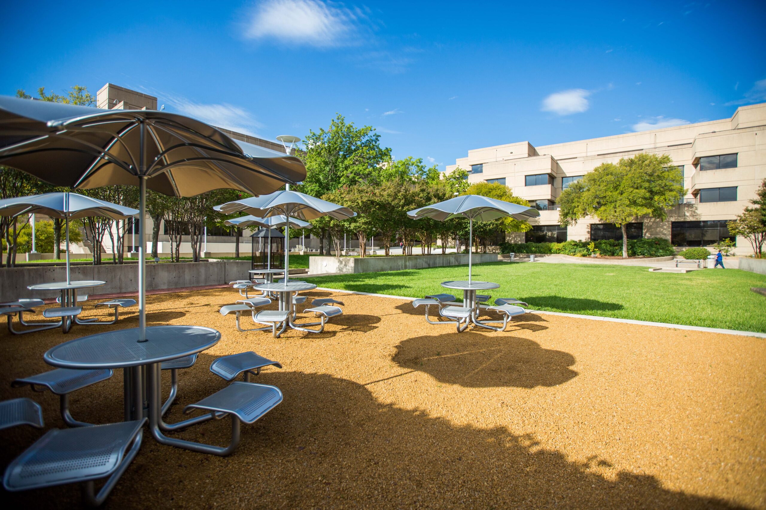 Alumni Plaza Renovation.